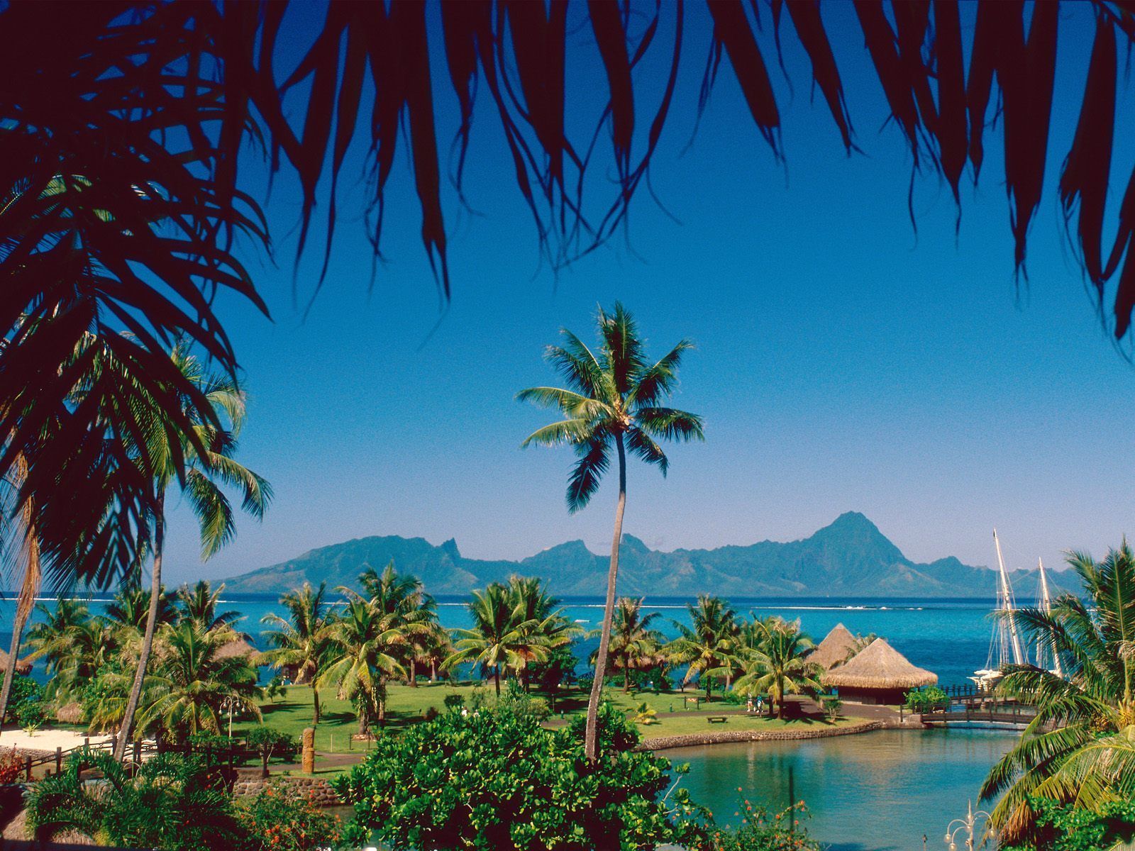 Nature: Moorea Island, Tahiti, desktop wallpaper nr. 35499