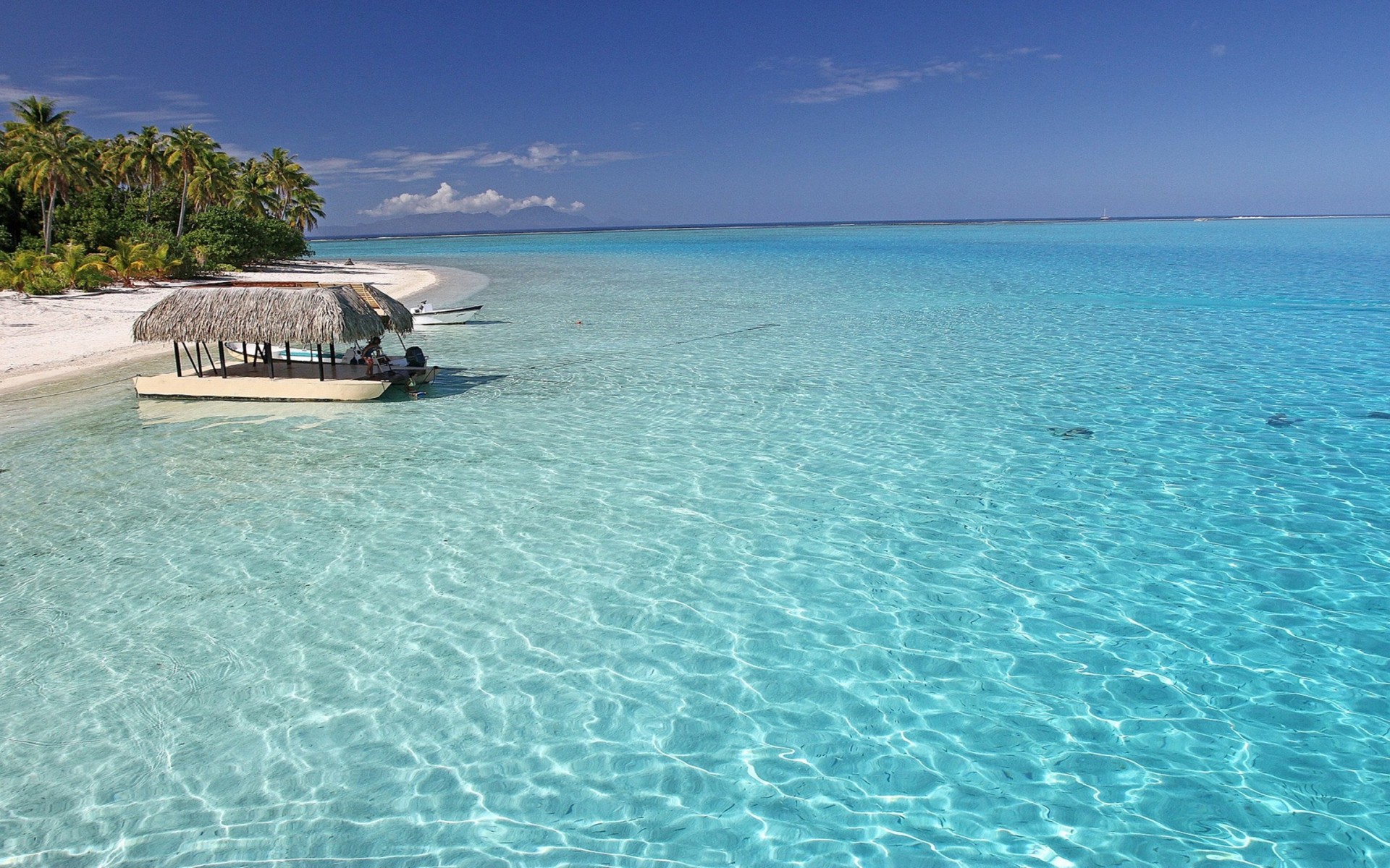 Perfect Aqua Blue Sea Off Bora Bora Tropical Paradise Isl Tahiti ...