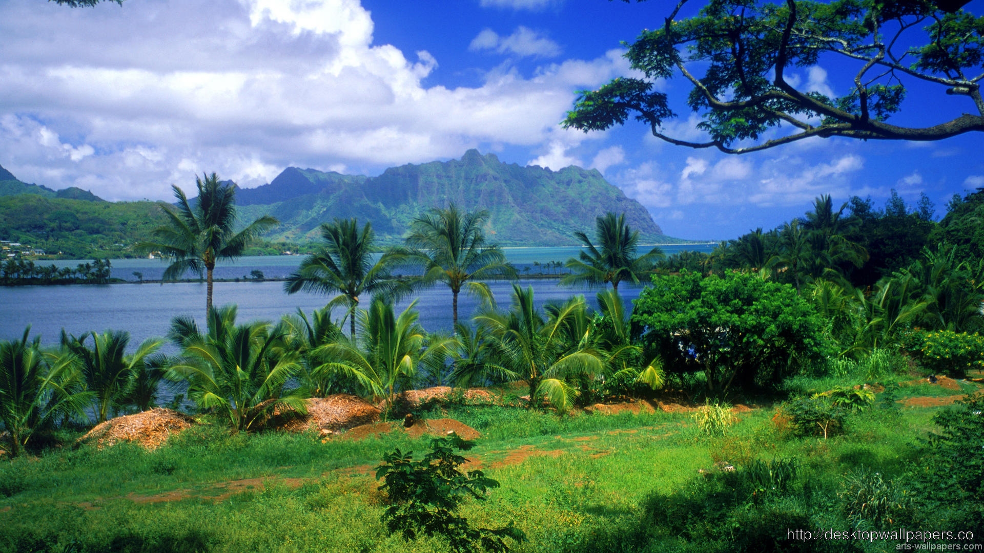 Tahiti-beach-wallpaper-hd-148Desktop Wallpapers Free Download