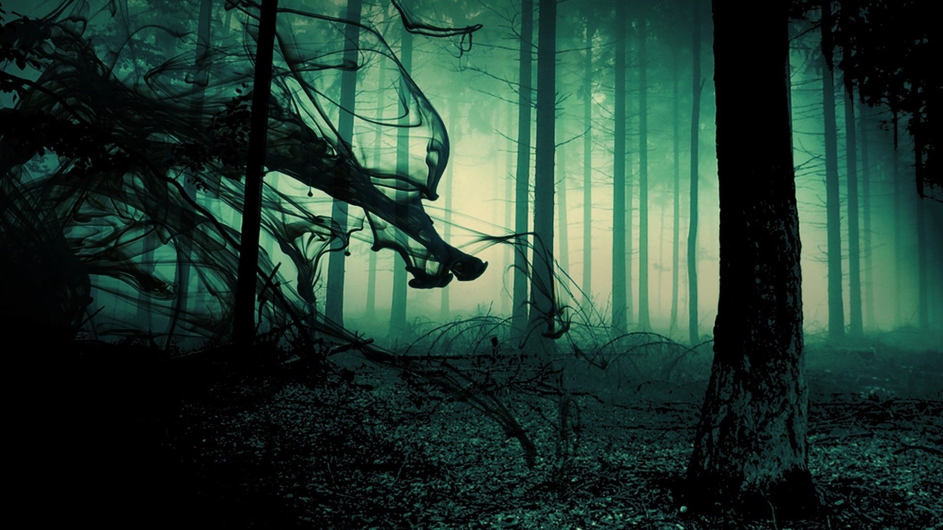 spooky forest background - Google Search | Backgrounds and ...