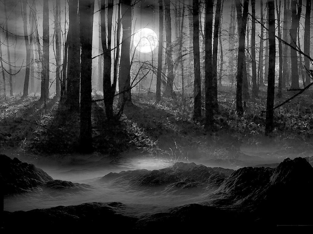 Pins for: Creepy Forest Wallpaper from Pinterest
