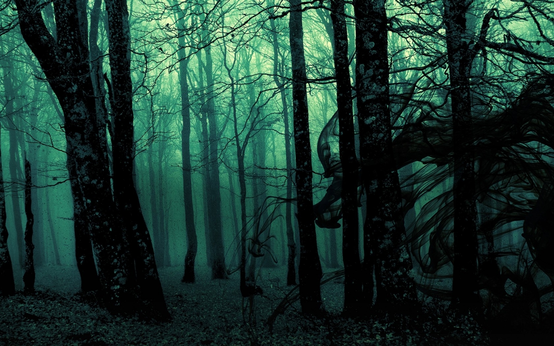 23 Forest HD Wallpapers Backgrounds - Wallpaper Abyss