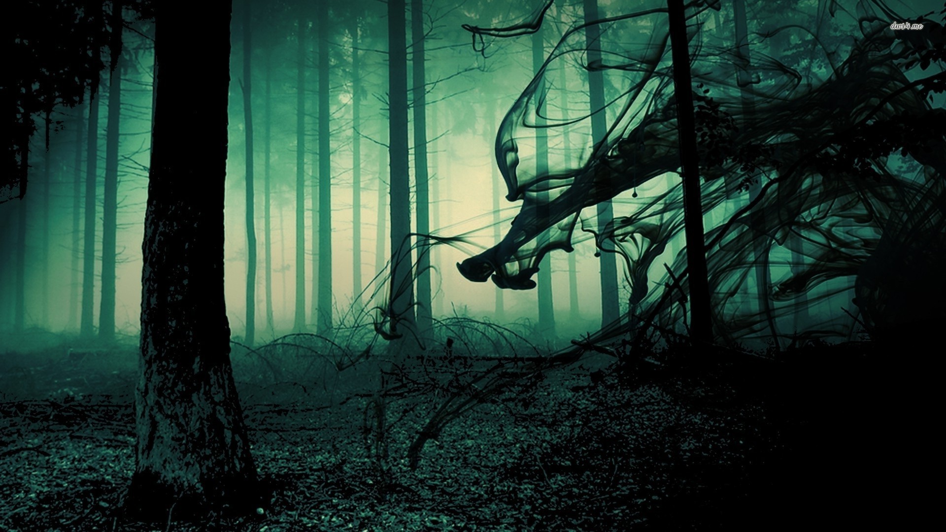 Creepy Forest Related Keywords & Suggestions - Creepy Forest Long ...