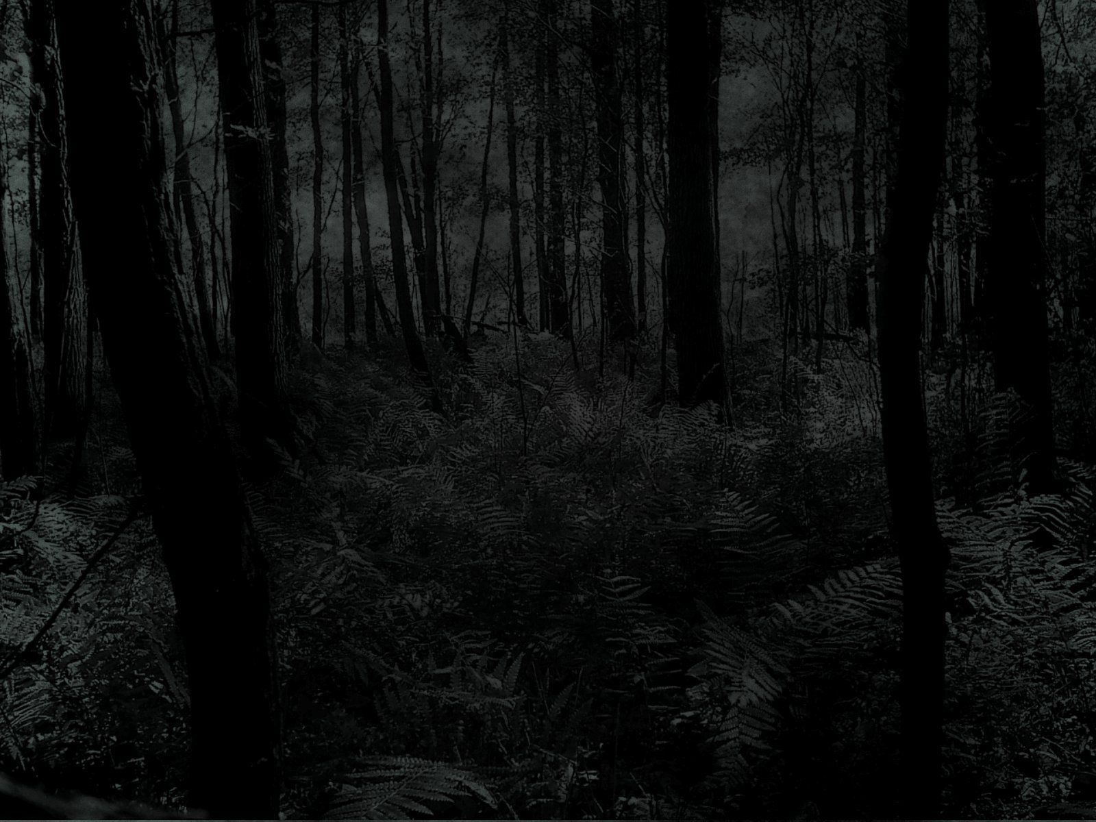 Creepy trees dark forests woods wallpaper | 1600x1200 | 232757 ...