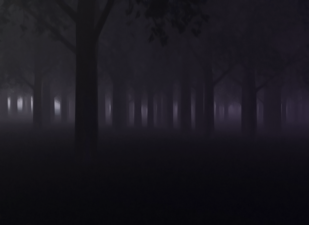 Creepy Forest by mad-Fool on DeviantArt