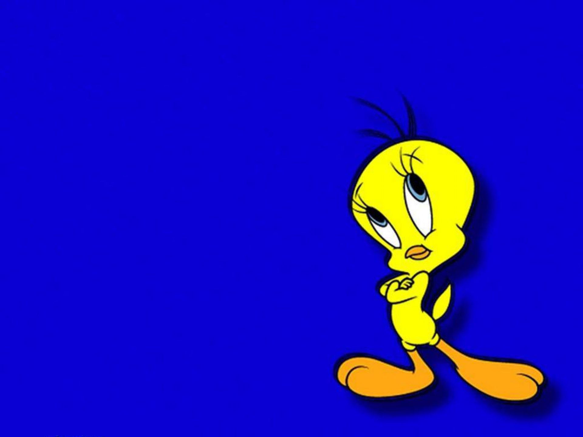 Tweety Bird Wallpapers Cure Free Download – Daily Backgrounds in HD