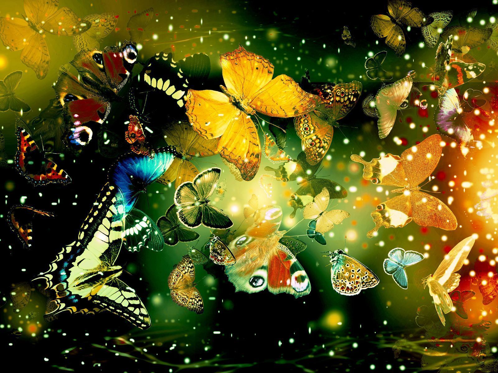 Desktop Wallpaper Gallery Windows 7 Butterflies desktop
