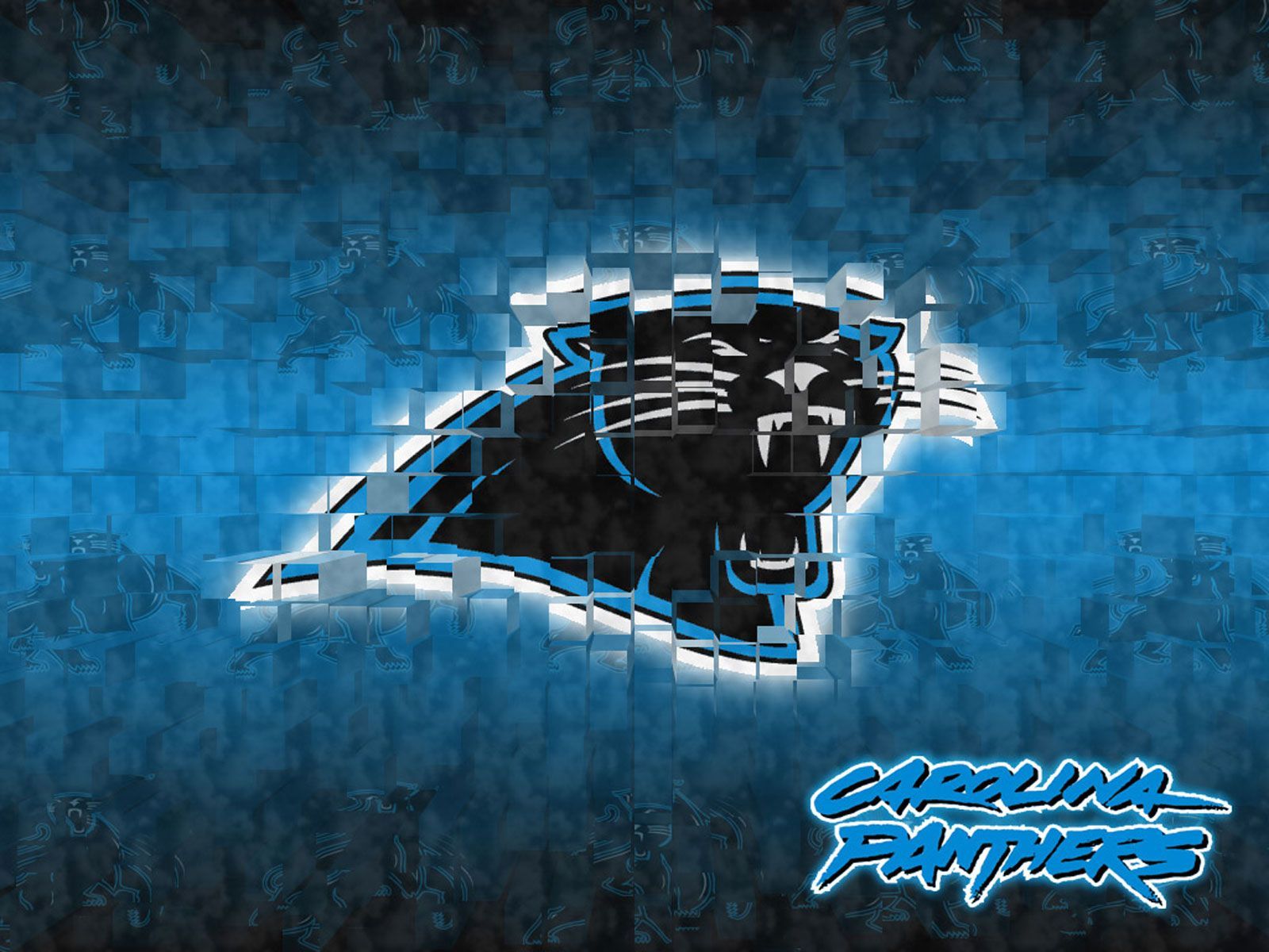 Wallpapers Panters Carolina Panthers Free Nfl Football 1600x1200 ...