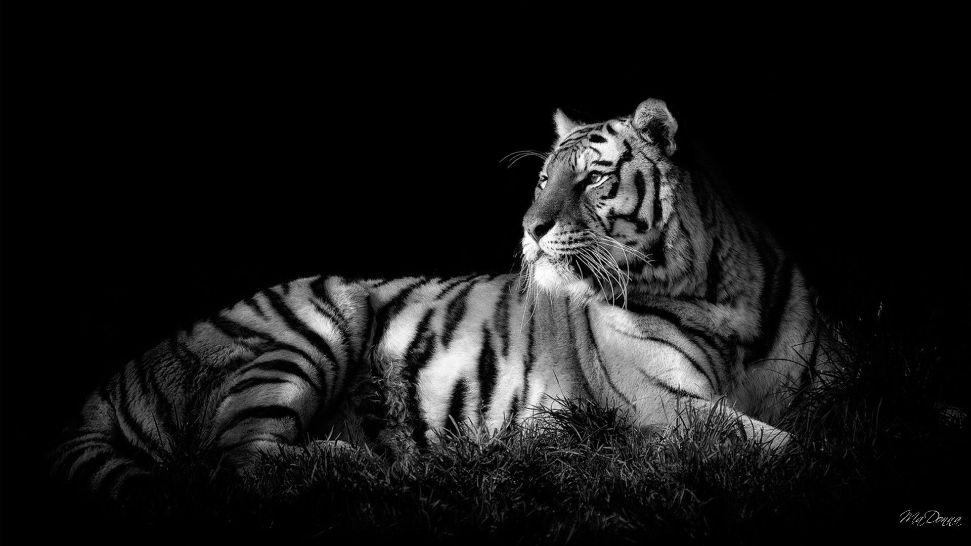 Black And White Desktop Backgrounds | The Art Mad Wallpapers