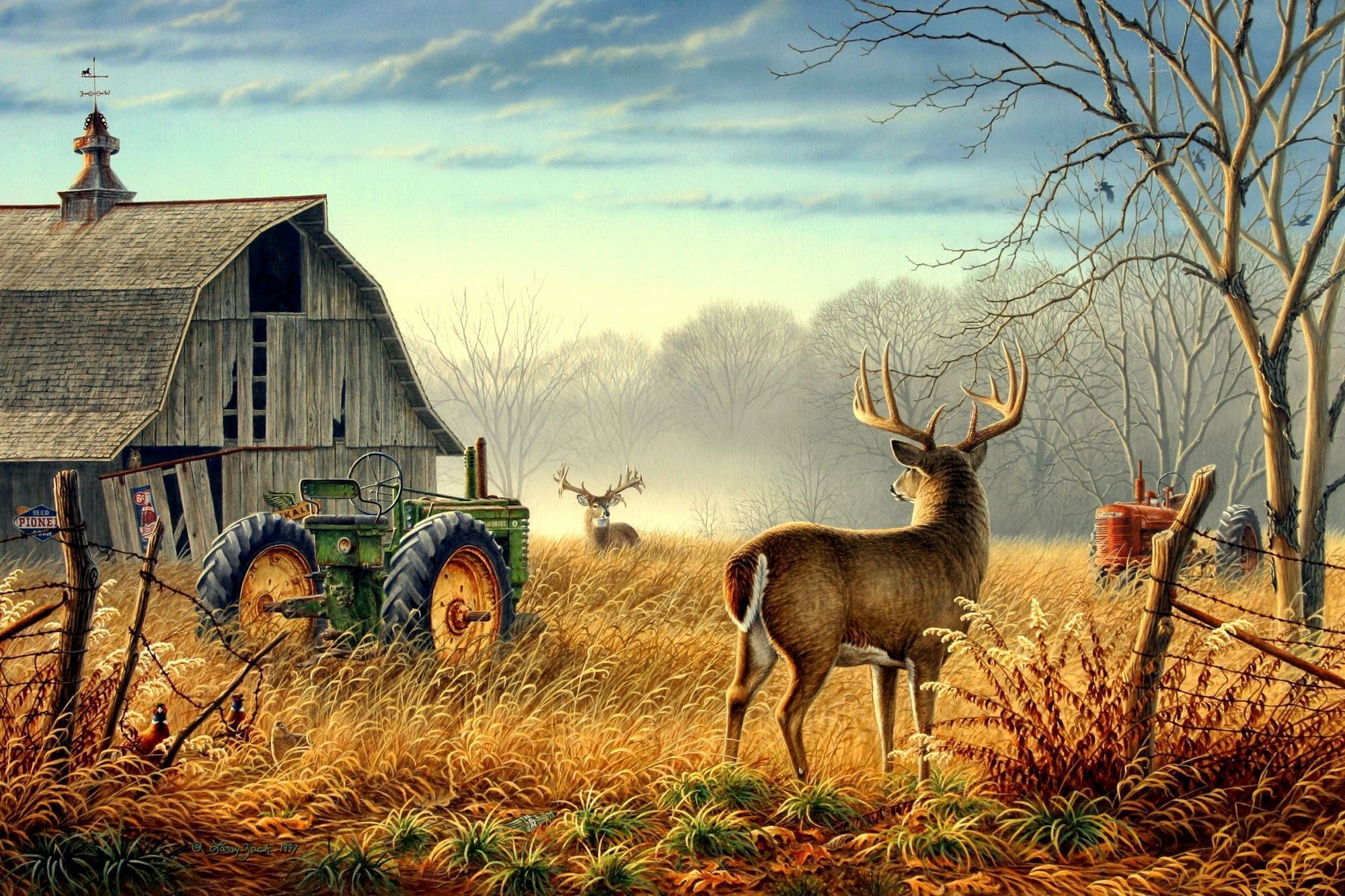 Deer Desktop Wallpapers