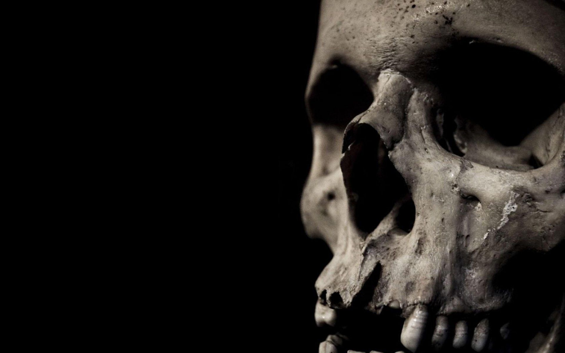 Dark skull evil horror skulls art artwork skeleton d wallpaper ...