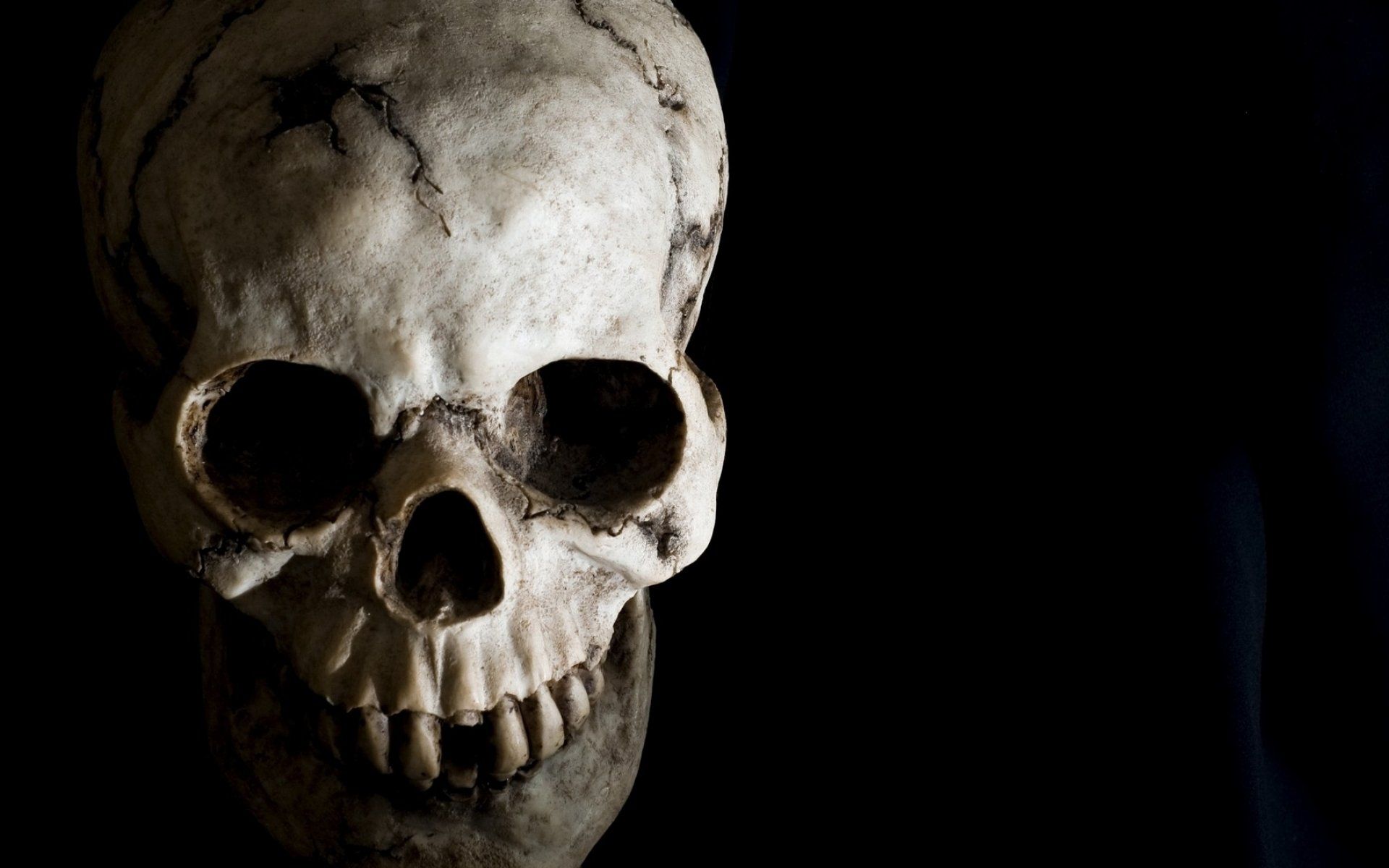 Dark skull evil horror skulls art artwork skeleton d wallpaper ...
