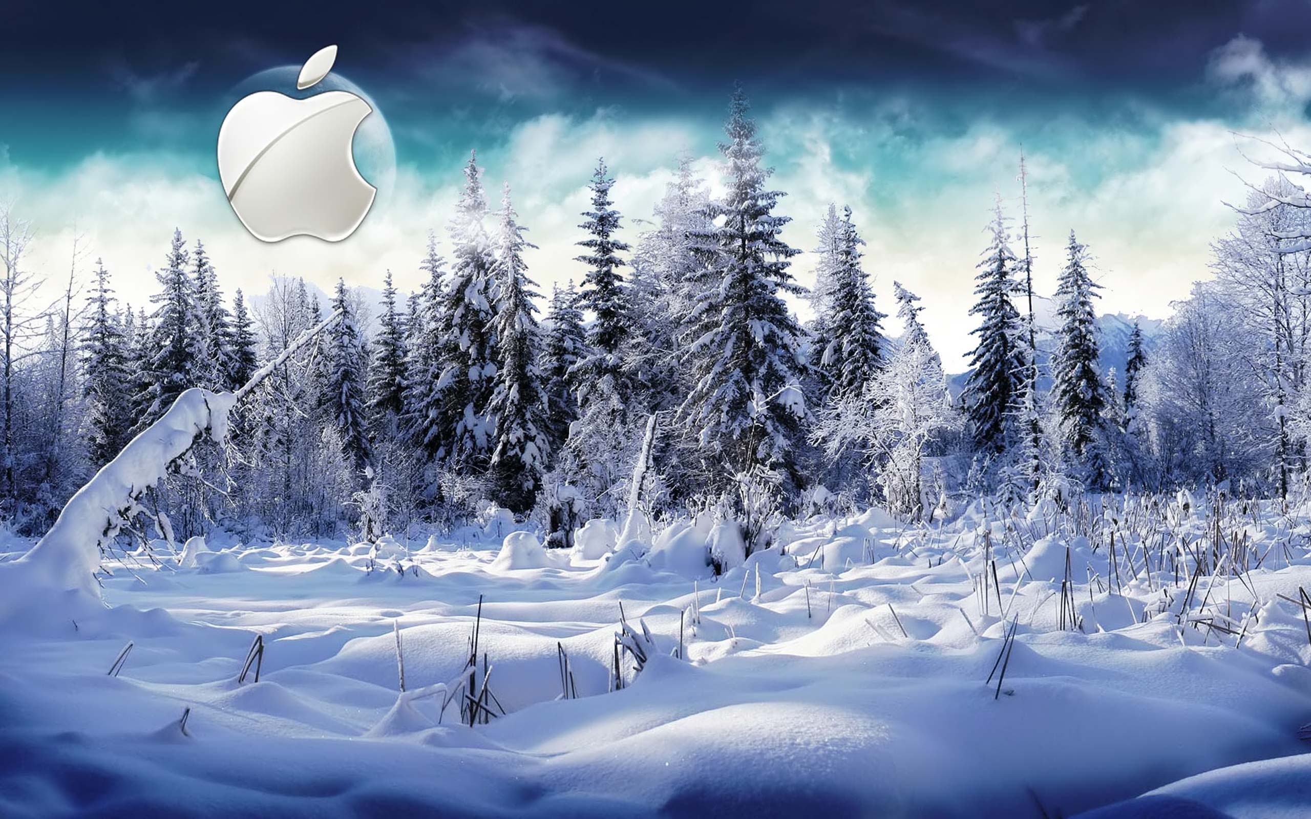 Desktop Wallpaper · Gallery · Computers · Winter Apple Mac ...