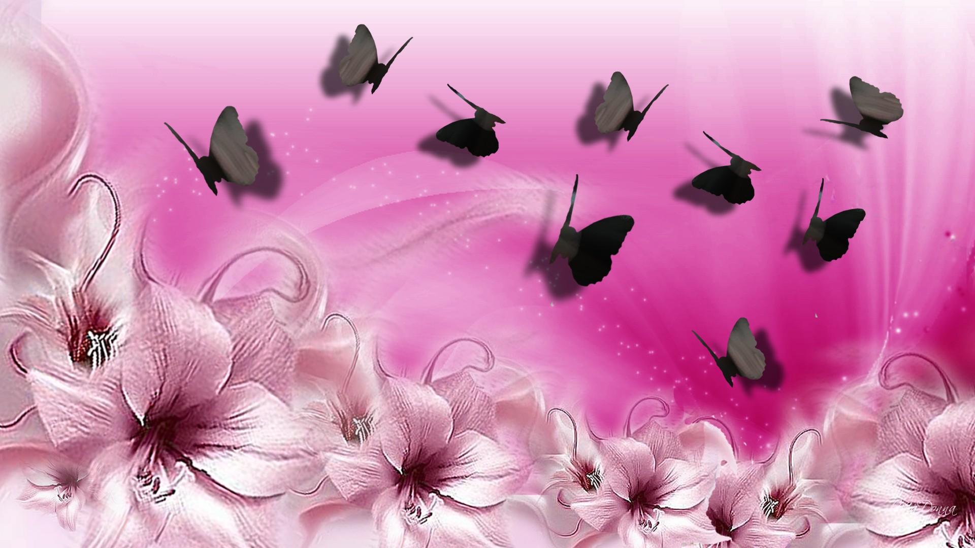 Pink Lilies Butterflies >> HD Wallpaper, get it now!