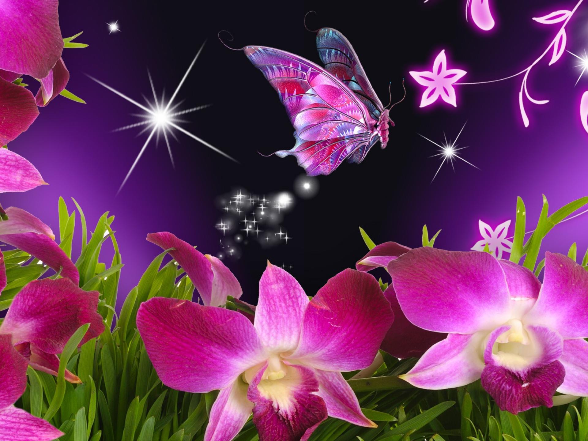 Pink Butterfly Wallpaper Desktop